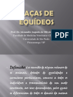 Aula 2 - Raças de Equinos