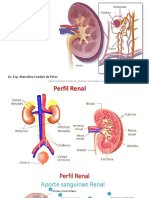 7 Perfil Renal 2020