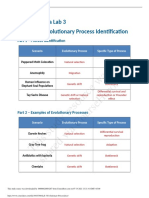 Lab 3 Evolutionary Process