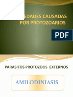 Enfermedades Causadas Por Protozoarios