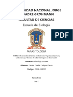 Informe Parasitologia 4 Carlos Chura PDF