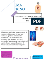 Sistema Endocrino