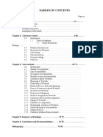 Project Report 1