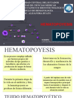 Rodriguez Pincha Kathia Paulina - Hematopoyesis