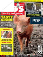 Practical Pigs - Issue 43 - Summer 2021