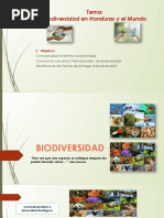 Biodiversidad - Ecodiversidad