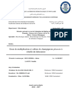 Essai de Multiplication Et Culture de Champignons Pleurote À Échelle Du Laboratoire