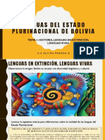 Lenguas Del Estado Plurinacional de Bolivia