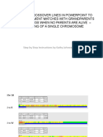 Visual Phasing of A Single Chromosome - The Use of Crossover Lines