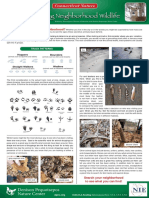 NIE CT Nature Jan 2019 Proof2