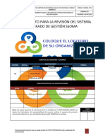 Ssoma P 09 Revision Sistema