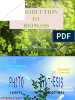 Biomass Presentation