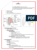 A&P - 1. Heart Anatomy (9p)