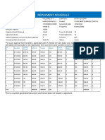 Repayment Report