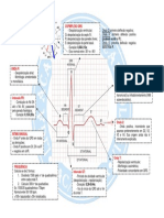 ECG Resumão