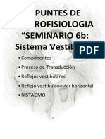 6b Apuntes Neuro - VESTIBULAR