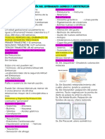 DX y Semiología Del Embarazo-Gineco y Obstetricia