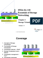 SNIA-SA 110 Chapter 3 Storage Virtualization (Version 1.1)