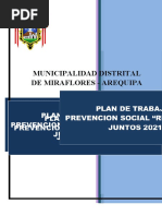 Plan de Trabajo de Prevencion Social Renaciendo Juntos