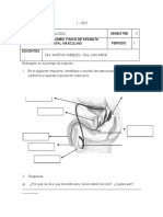 Taller de Genital Masculino