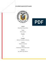 Análisis de Juicios e Inferencias