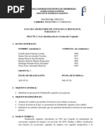 Informe 8 de Citologia Gardnerella Vaginalis