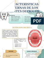 Caracteristicas Externas de Los Dientes Deciduos