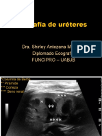 Us Ureter, Vejiga, Prostata Dra. Shirley Antezana