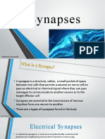 Electrical & Chemical Synapses