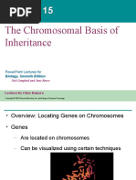 The Chromosomal Basis of Inheritance: Powerpoint Lectures For