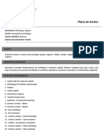 Morfologia - Vegetal Plano de Ensino Base