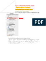 Pasos para La Programacion de Pagos