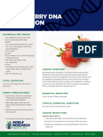 Strawberry DNA Extraction