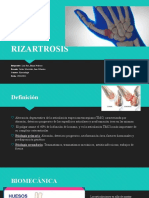 RIZARTROSIS