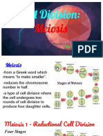 Cell Division: Meiosis