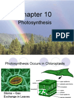 Ch10 Photosynthesis