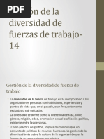 Gestión de La Diversidad de Fuerzas de Trabajo-14