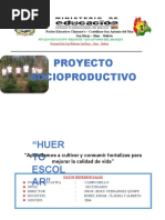 Proyecto Socioproductivo 2016