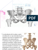 Biomecania de La Cadera