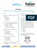 BIO - Sem12 - Reino Animalia I