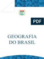 100 Questões BIZUeSA - Geografia Do Brasil