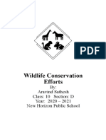 Wildlife Conservation Efforts