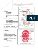 Spé 12 - 06 - Cavité Orale