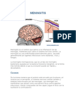 Qué Es Meningitis