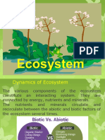 Dynamics of Ecosystem