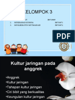 Kultur Jaringan Pada Anggrek