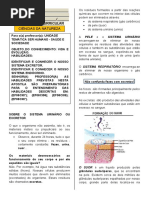 PROFESSOR - APOSTILA V DE CIENCIAS 8º ANO COM GABARITO - Revisado