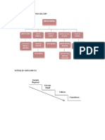 Organigrama de La Empresa Belcorp