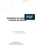 Princípios de Liderança e Gestão de Equipes