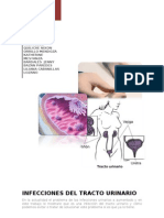 Infecciones Del Tracto Urinario